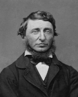 Portrait of Henry David Thoreau